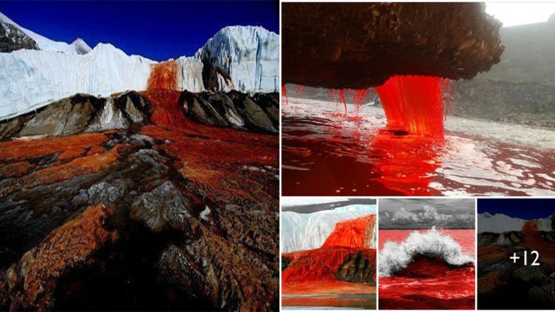 Blood Falls: The Astonishing Natural Wonder in Antarctica