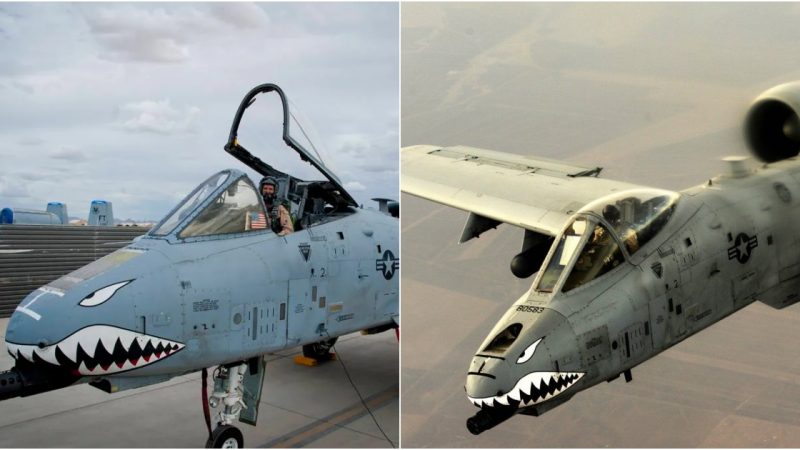 A-10 Thunderbolt II Warthog: Unleashing the Roaring Might of Close Air Support