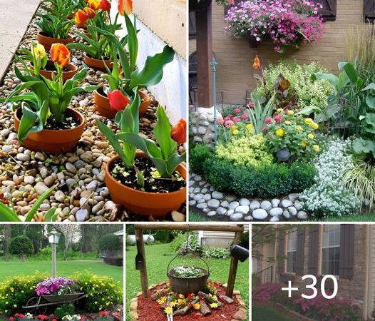 30 Beautiful Flower Bed Designs for Your Inspiration