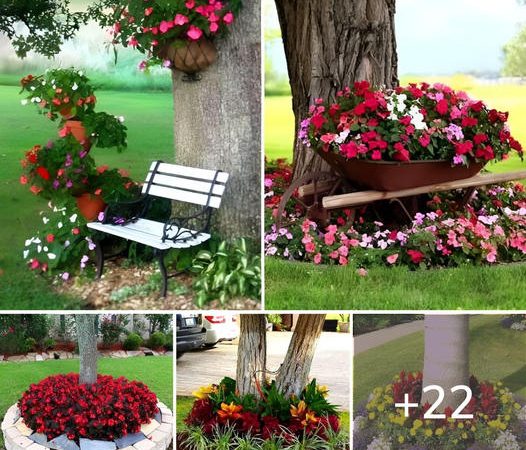 Stunning Tree-Encircled Flower Beds: 22 Inspiring Ideas