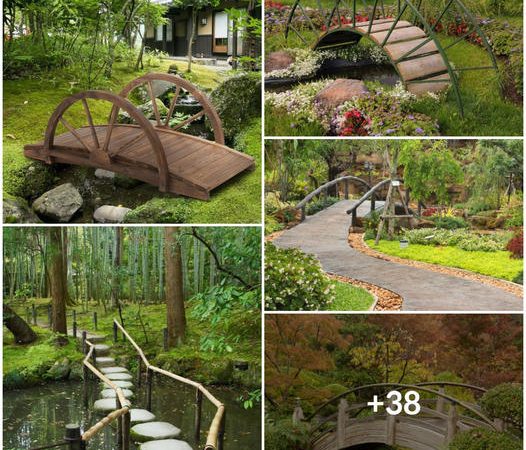 Enhance Your Garden Oasis: 38 Unique Garden Bridge Designs for a Tranquil Retreat
