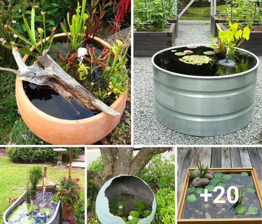 Exploring the Magic of Miniature Waterscapes: 20 Ingenious Container Pond Ideas