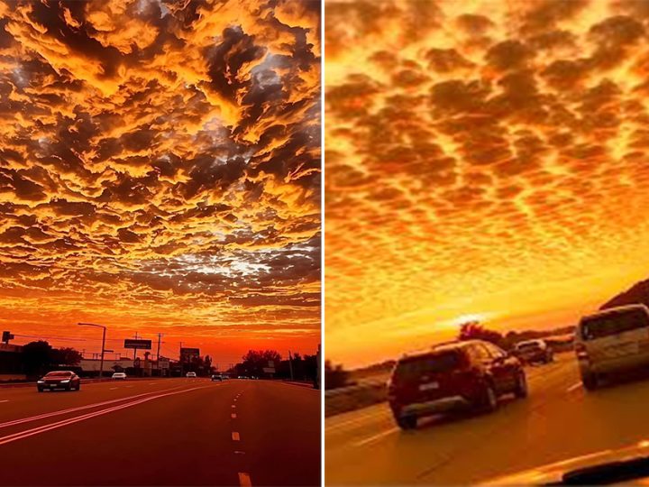 Witnessing the Fiery Sunset: A Spectacular Evening in Los Angeles
